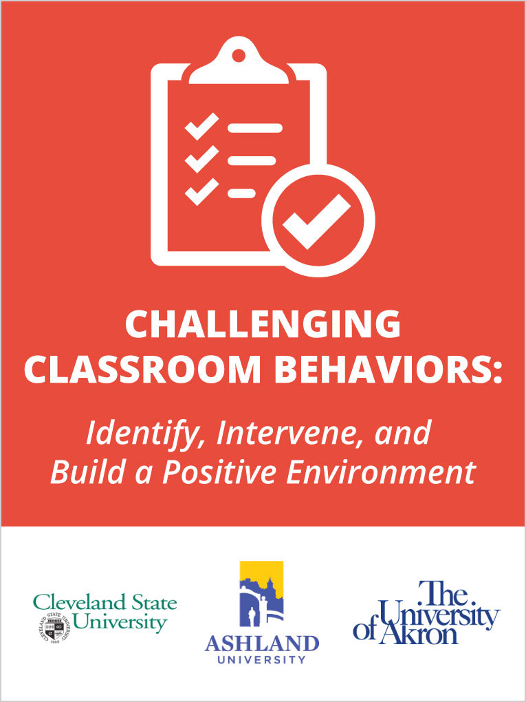 Challenging Behavior As A Class Teacher